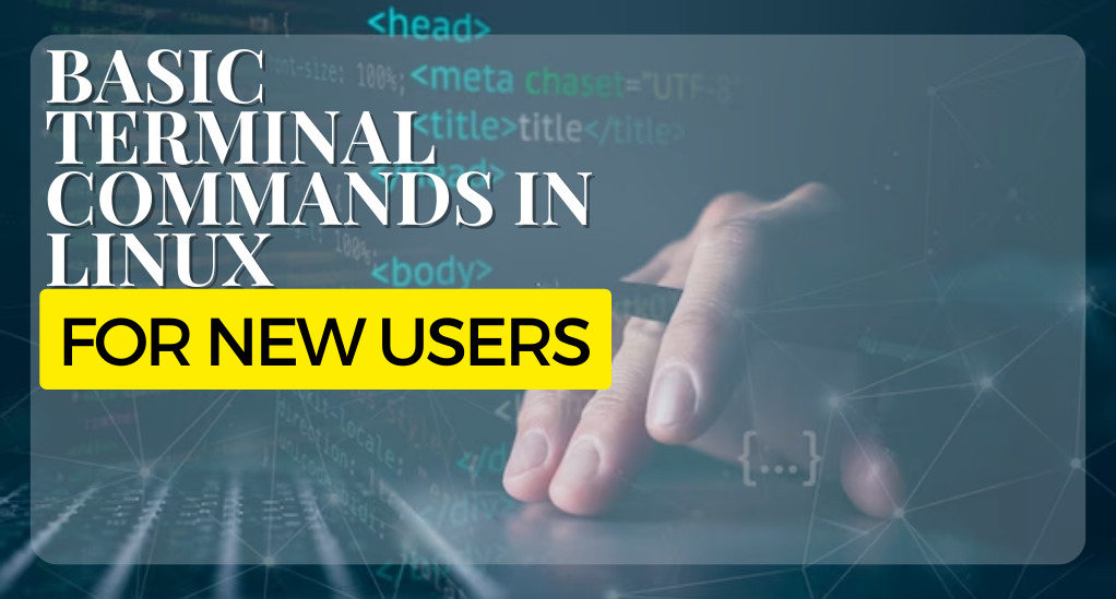 How to Master Basic Terminal Commands in Linux for New Users